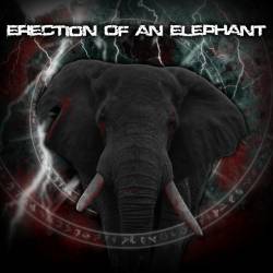 Erection Of An Elephant : Demo